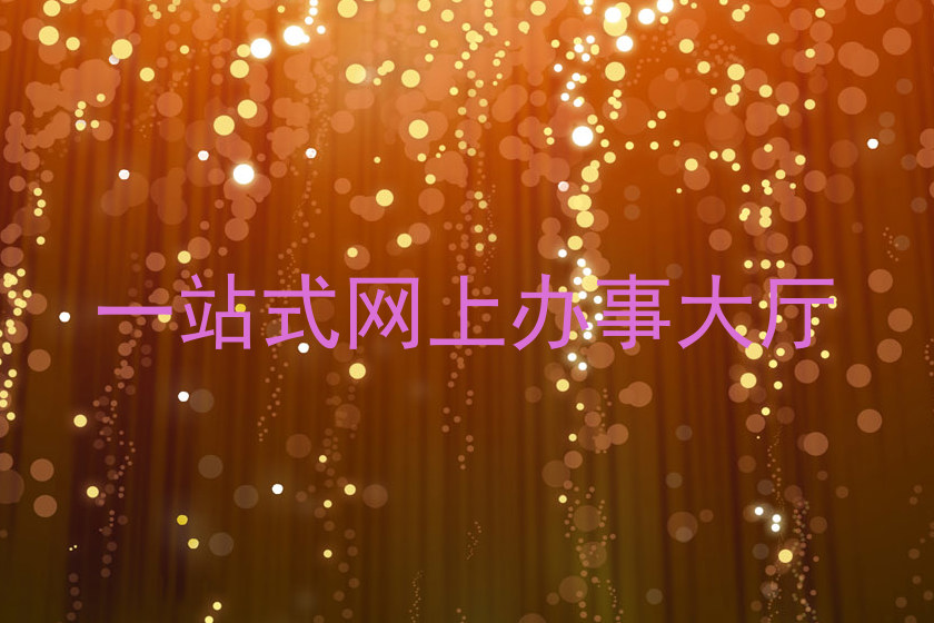 一站式网上办事大厅