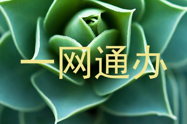 一网通办