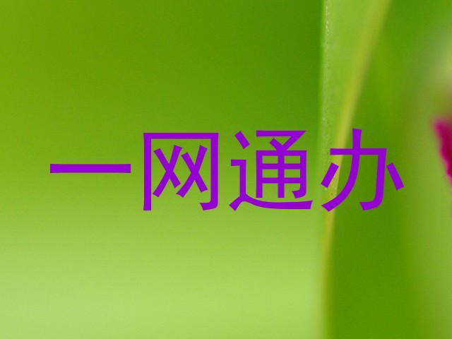 一网通办