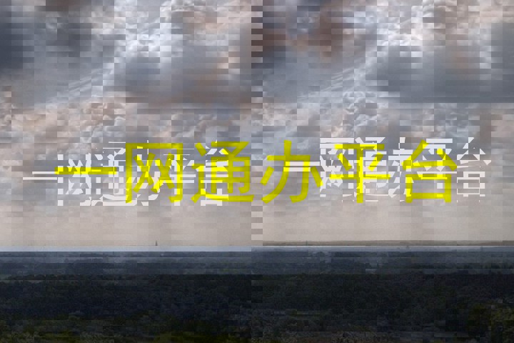 一网通办平台