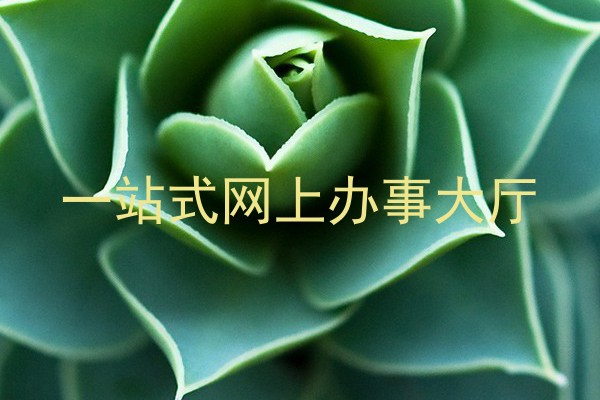 一站式网上办事大厅