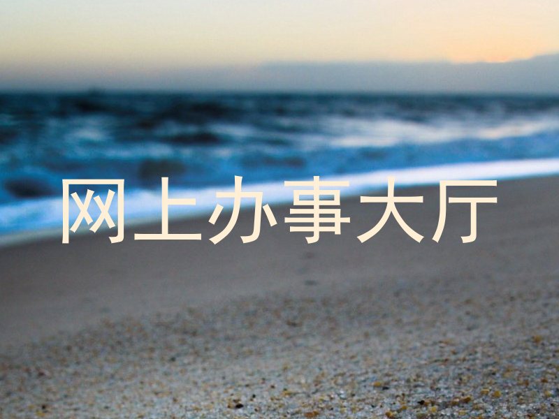 网上办事大厅