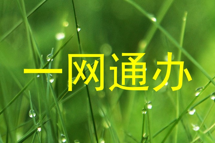 一网通办