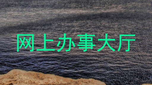 网上办事大厅