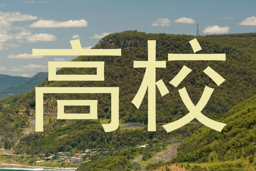 高校