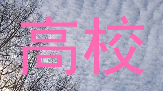 高校