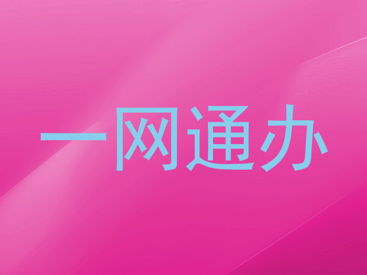 一网通办