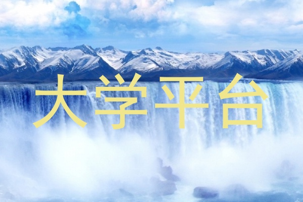 大学平台