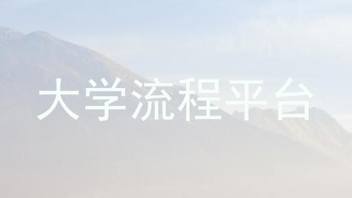 大学流程平台