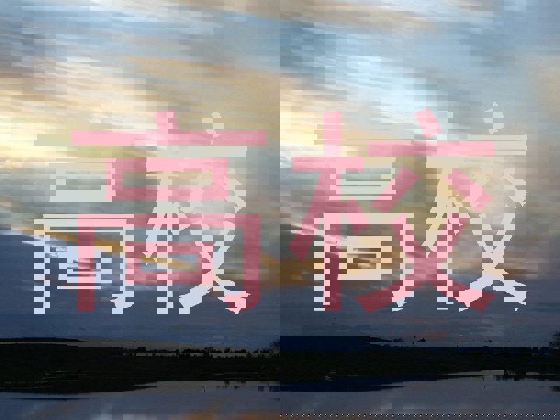 高校