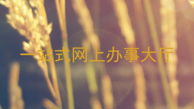 一站式网上办事大厅