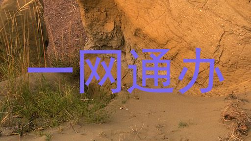 一网通办