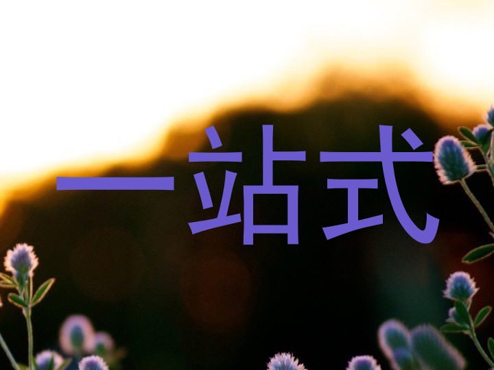 一站式
