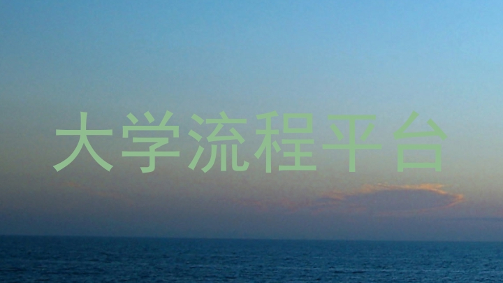 大学流程平台
