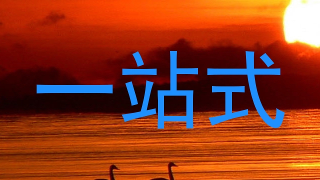 一站式