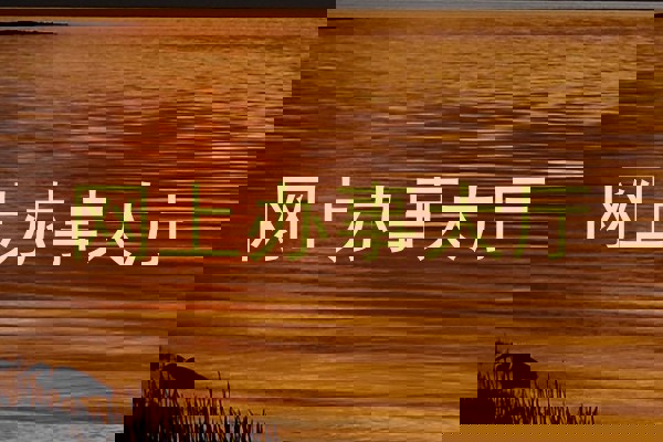 网上办事大厅