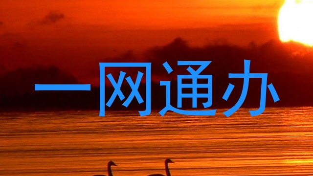 一网通办