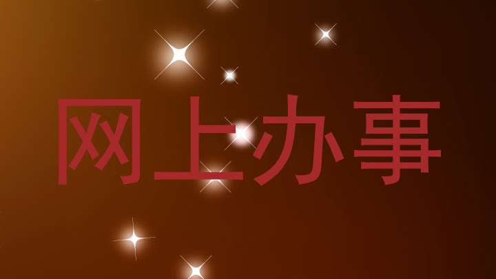 网上办事