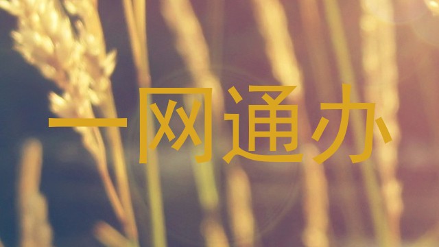 一网通办