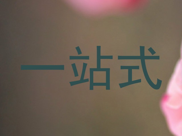 一站式