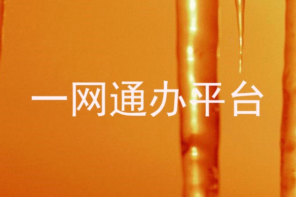 一网通办平台