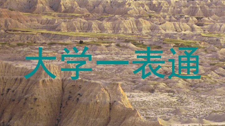 大学一表通