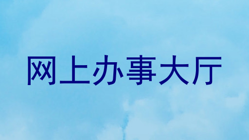 网上办事大厅