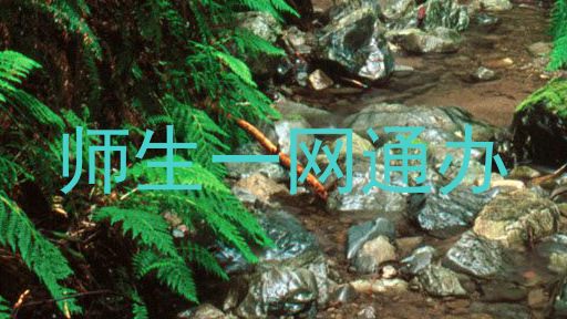 师生一网通办