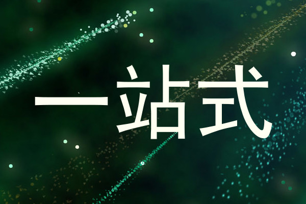 一站式