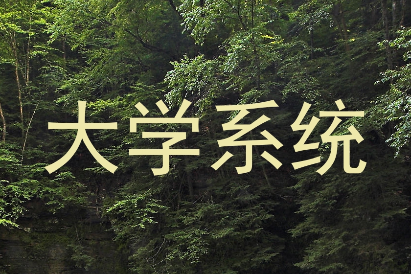 大学系统