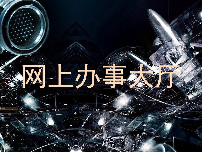 网上办事大厅