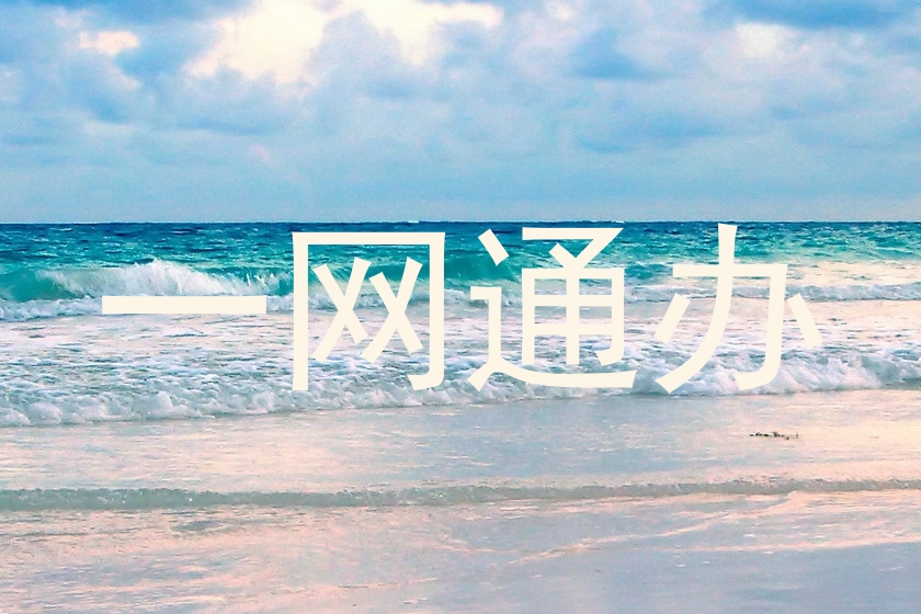 一网通办