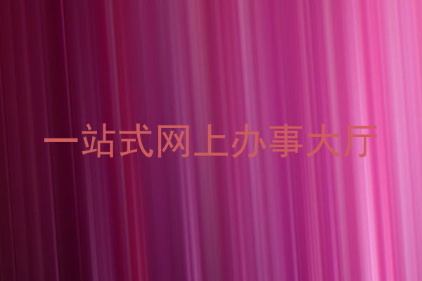 一站式网上办事大厅