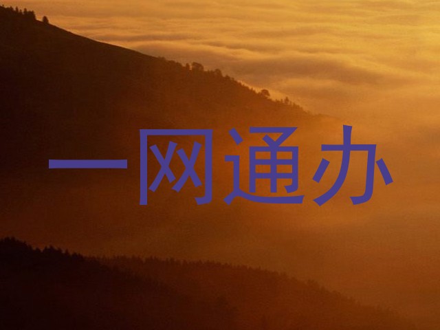 一网通办