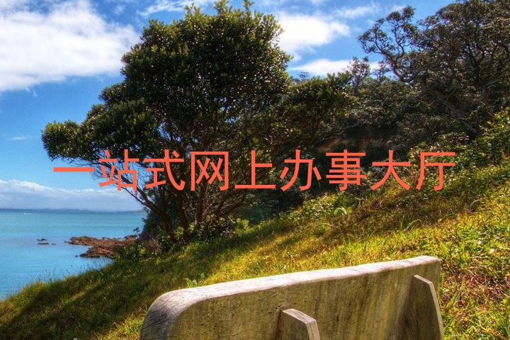 一站式网上办事大厅