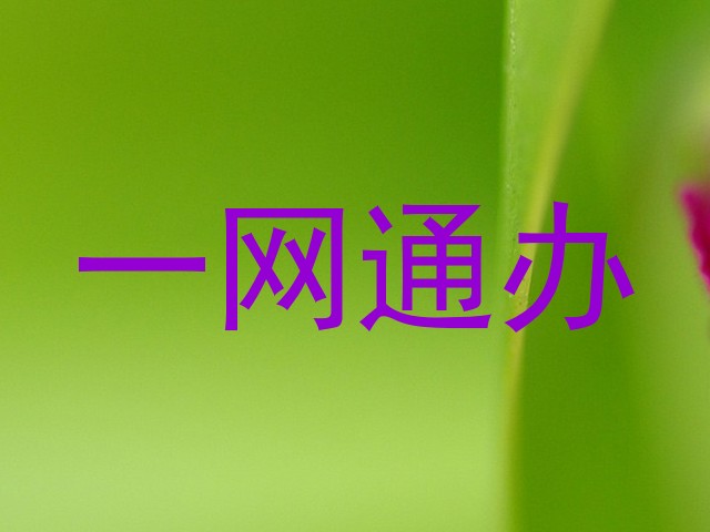 一网通办