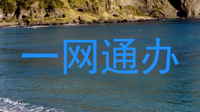 一网通办