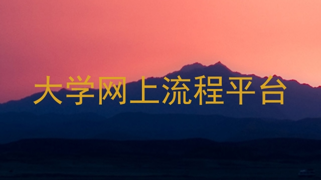 大学网上流程平台