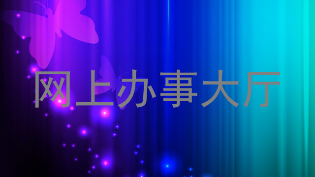 网上办事大厅