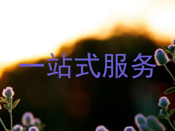 一站式服务