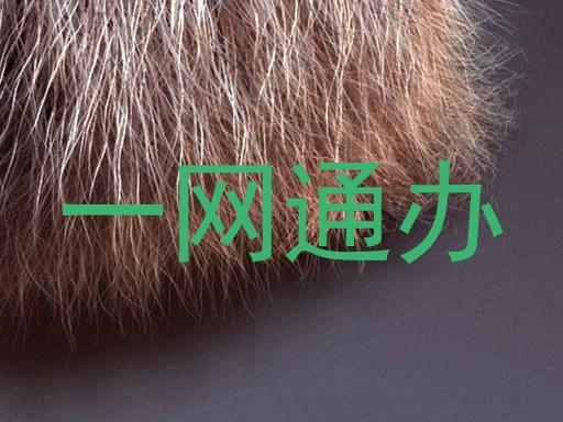 一网通办