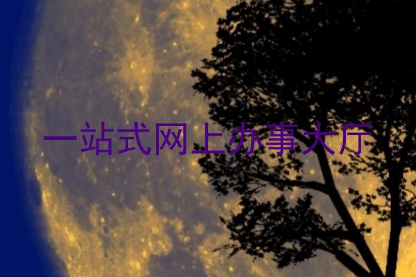 一站式网上办事大厅