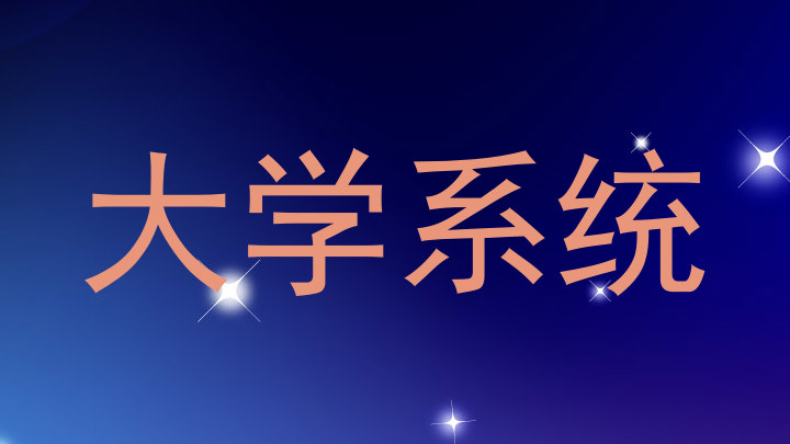大学系统