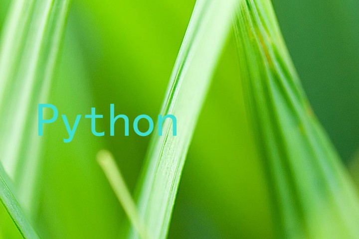 Python
