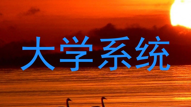 大学系统