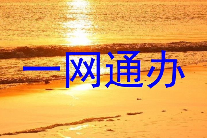 一网通办