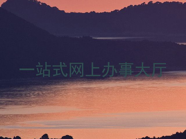 一站式网上办事大厅