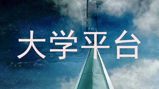 大学平台
