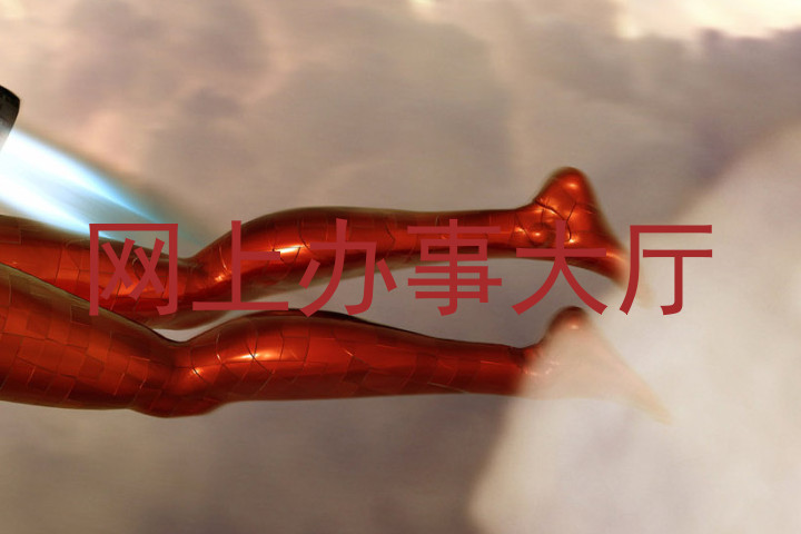 网上办事大厅