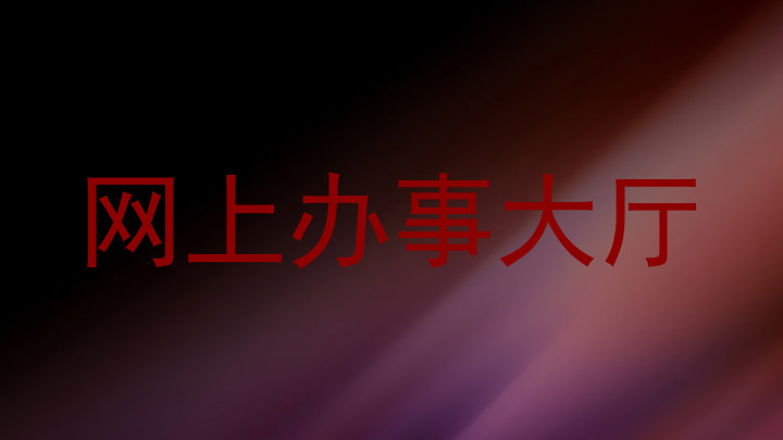 网上办事大厅
